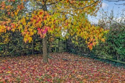 Images for King Street, High Ongar, Ongar, Essex, CM5
