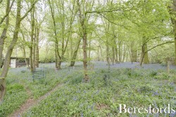 Images for Foxborough Chase, Stock, Ingatestone, Essex, CM4