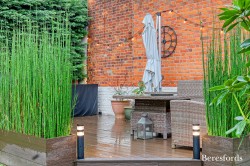 Images for Main Road, Margaretting, Ingatestone, Essex, CM4