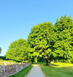 Images for The Street, Stisted, Essex, CM77