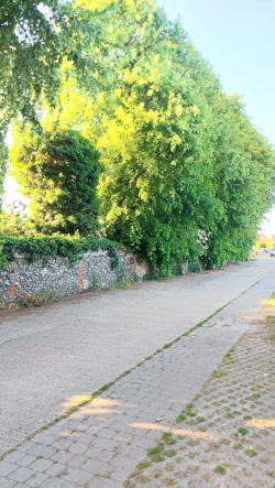 Images for The Street, Stisted, Essex, CM77