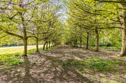 Images for Denne Park, Denne Park House Denne Park, RH13