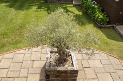 Images for 23 Gossamer Lane, Aldwick, PO21