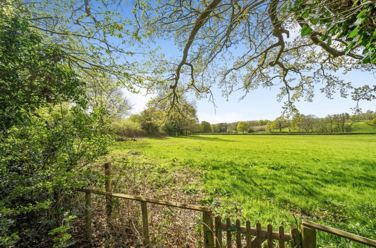 Images for Friday Street, Ockley, RH5