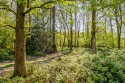Images for Shaws Lane, Southwater, RH13
