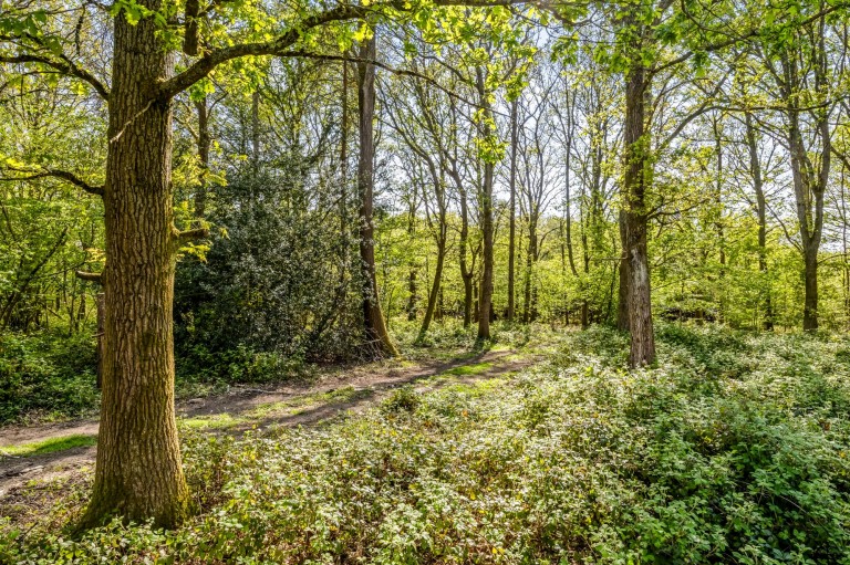 Images for Shaws Lane, Southwater, RH13