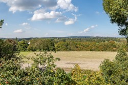 Images for The Street, Bury, RH20