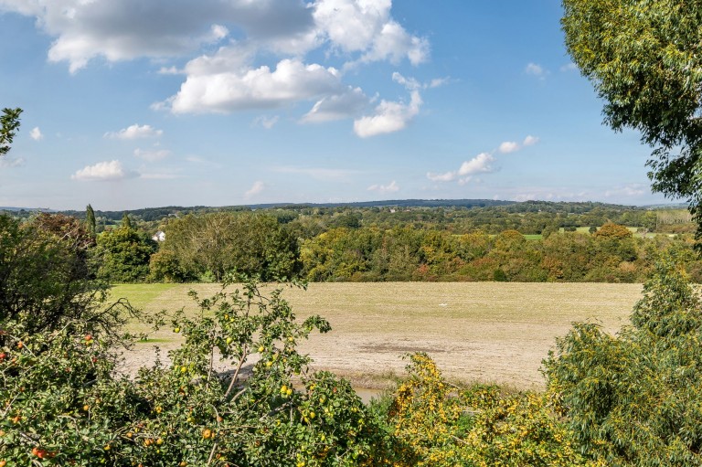 Images for The Street, Bury, RH20