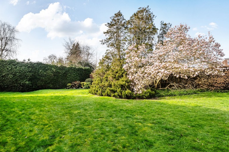 Images for Elmleigh, Midhurst, GU29