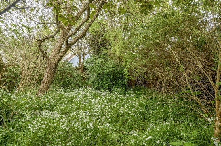 Images for The Bridgeway, Selsey, PO20