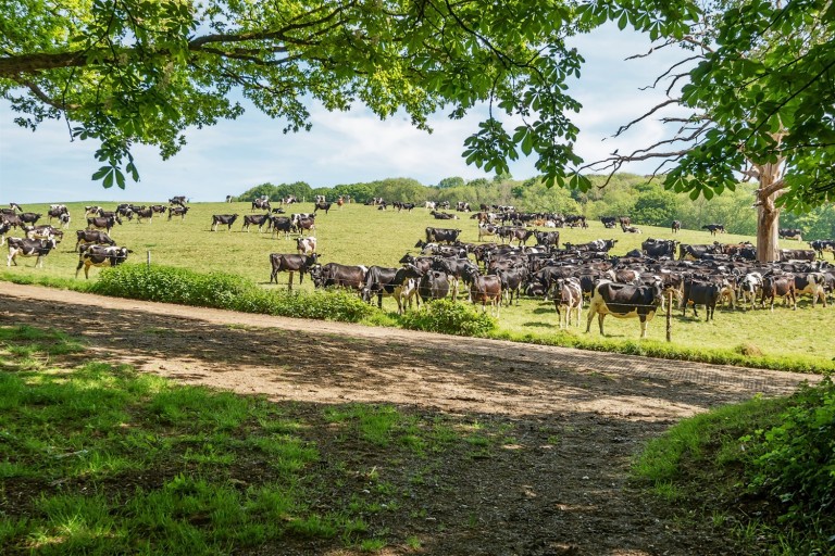 Images for Cooks Hill, Rudgwick, RH12