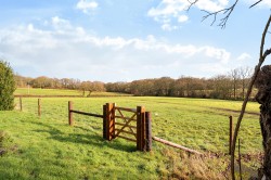 Images for Kirdford, Billingshurst, RH14