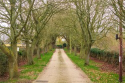 Images for Avenue Lane, Wilden, MK44