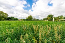 Images for Roe Green, Sandon, SG9