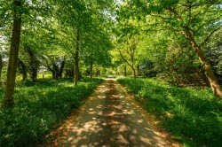 Images for Pound Lane, North Crawley, MK16