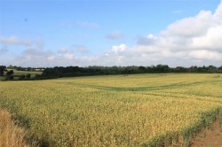 Images for Nash Road, Thornborough, MK18